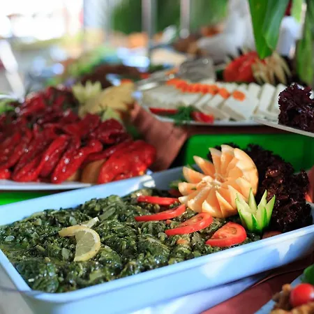 Hotel Club Akman Çamyuva